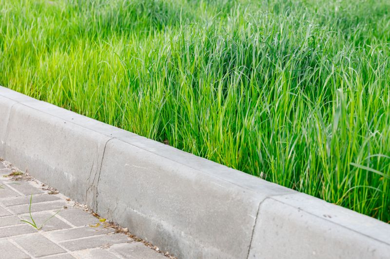 Concrete Edging Installation