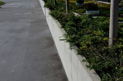 Driveway Edging Installation