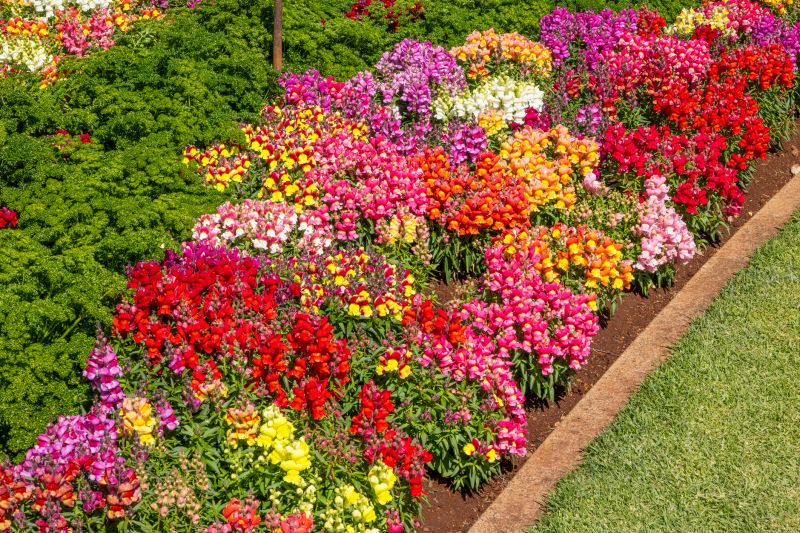 Flowerbed Edging Installation